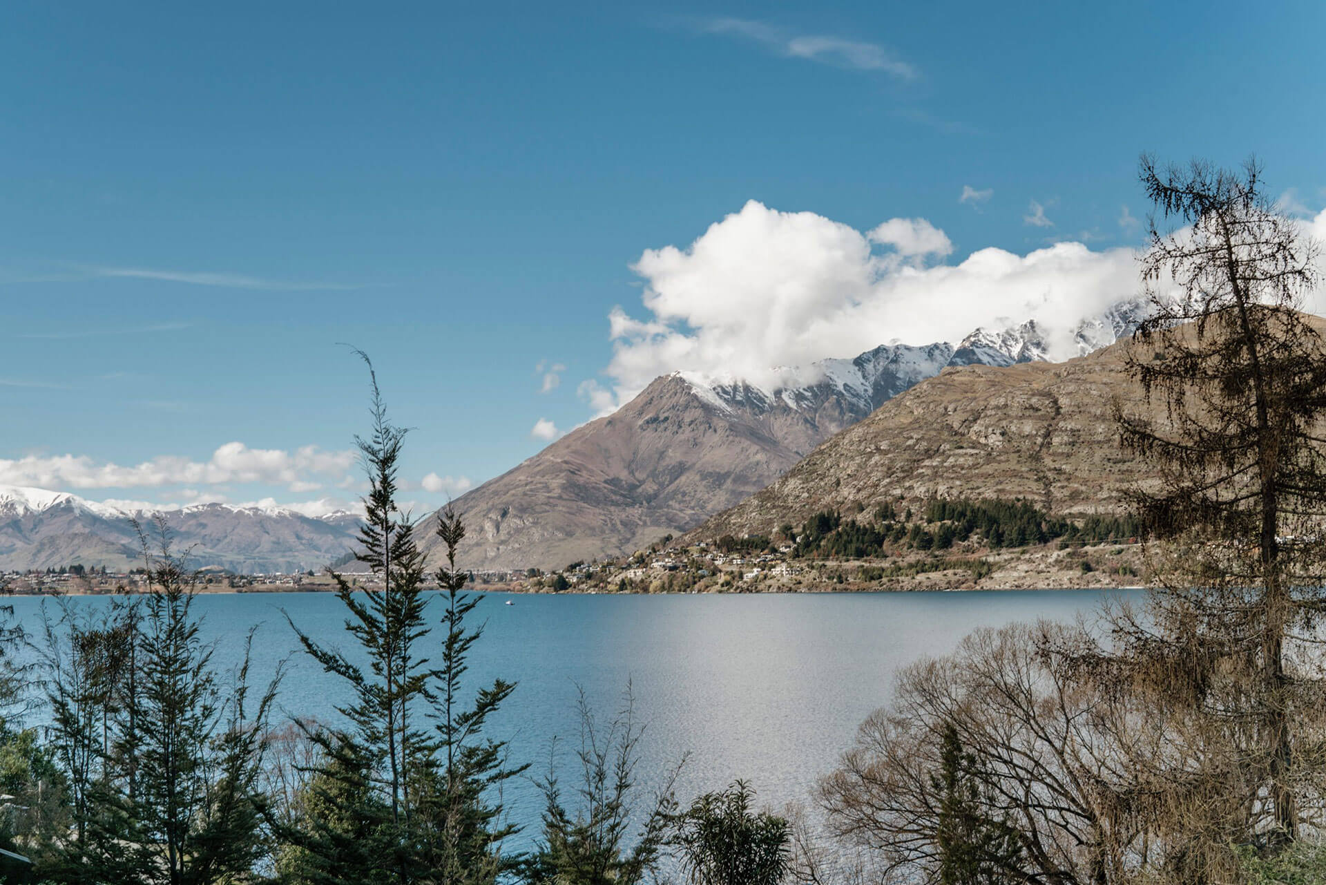 nerissa-j-LTa38RzeJks-unsplash