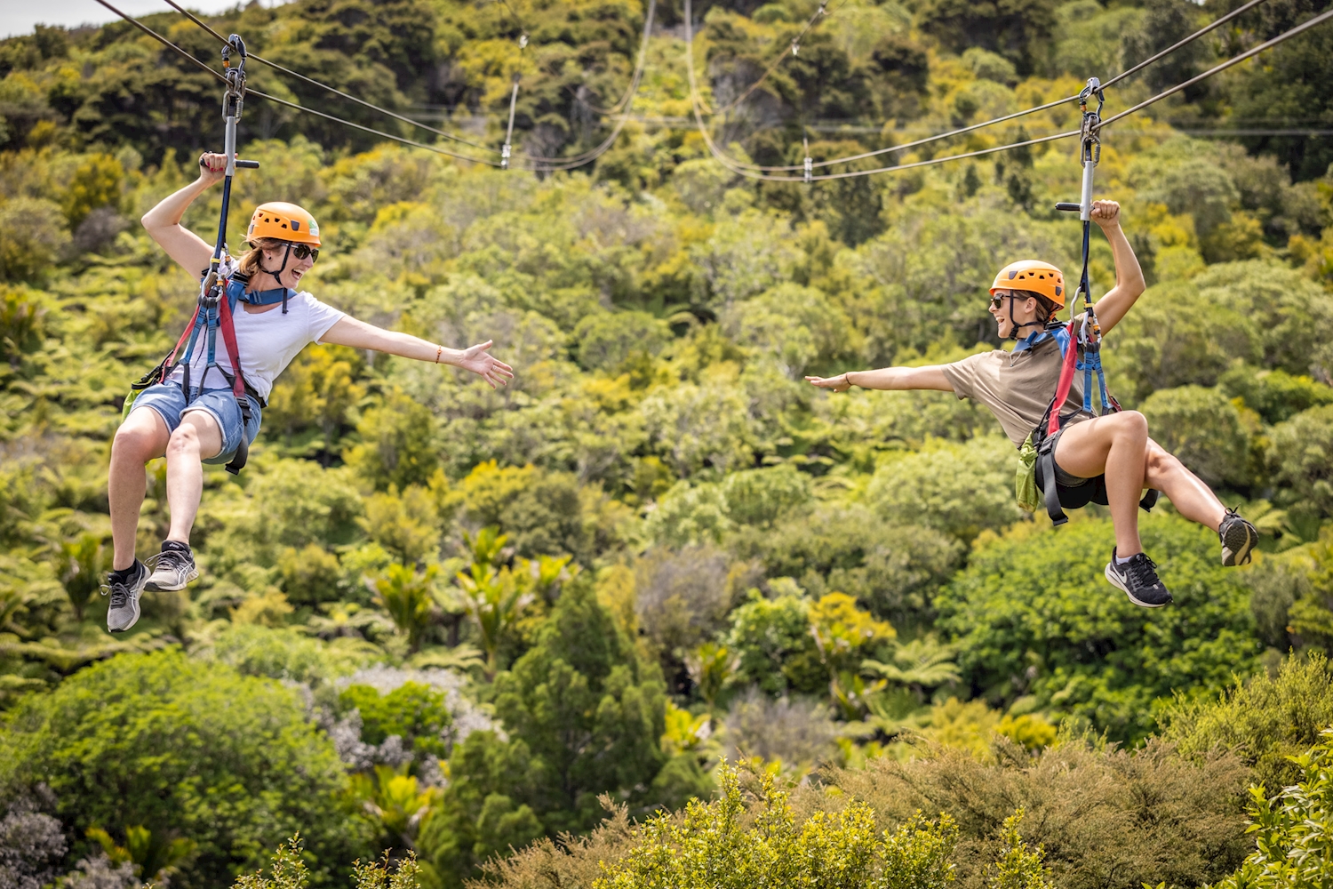 Forest Walk & Zipline in Waiheke Island