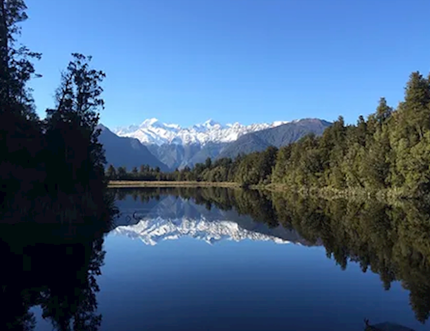 Lake Matheson Nature Tour Franz Josef 1