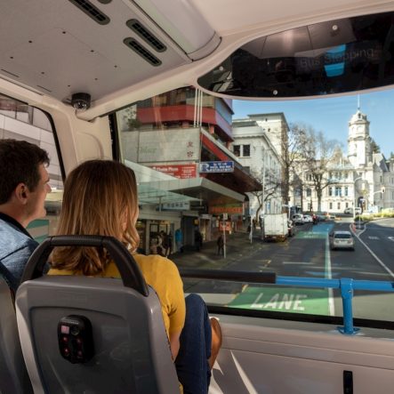 Auckland Hop On Hop Off Bus