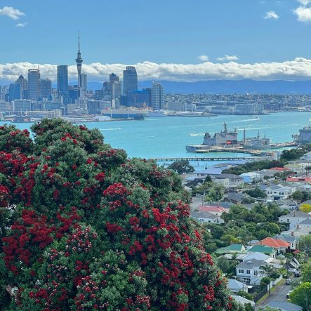 Auckland New Zealand